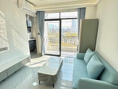 深圳龙岗坂田(核验成功)近杨美地铁 精装一房一厅 品牌公寓 无中介费出租房源真实图片
