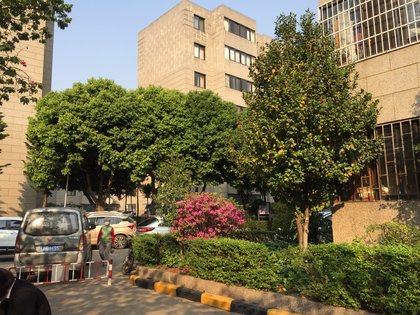 市级机关大树营生活小区,中营路,近东华东路 - 昆明市级机关大树营