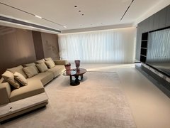 阳江江城新都汇十里江湾大平层 四房双套 独立衣帽间 豪华装修 带中央空调出租房源真实图片