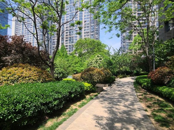 青岛安居客>青岛租房>市南租房>燕儿岛路租房>鲁商首府>鲁商首府租房>