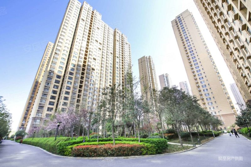 钥匙房 商品房 楼龄新 有电梯 超低密度 双卫生间,滨河御景苑二手房