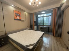 丽水莲都天宁万地温德姆附近 一室一厨  豪华装修 1.8米大床 干湿分离出租房源真实图片