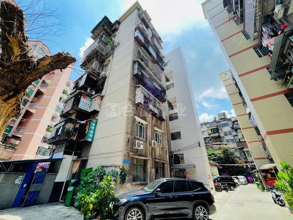 广州荔湾芳村芳村财局宿舍芳村茶滘新村 步梯高层新净两房 采光通透