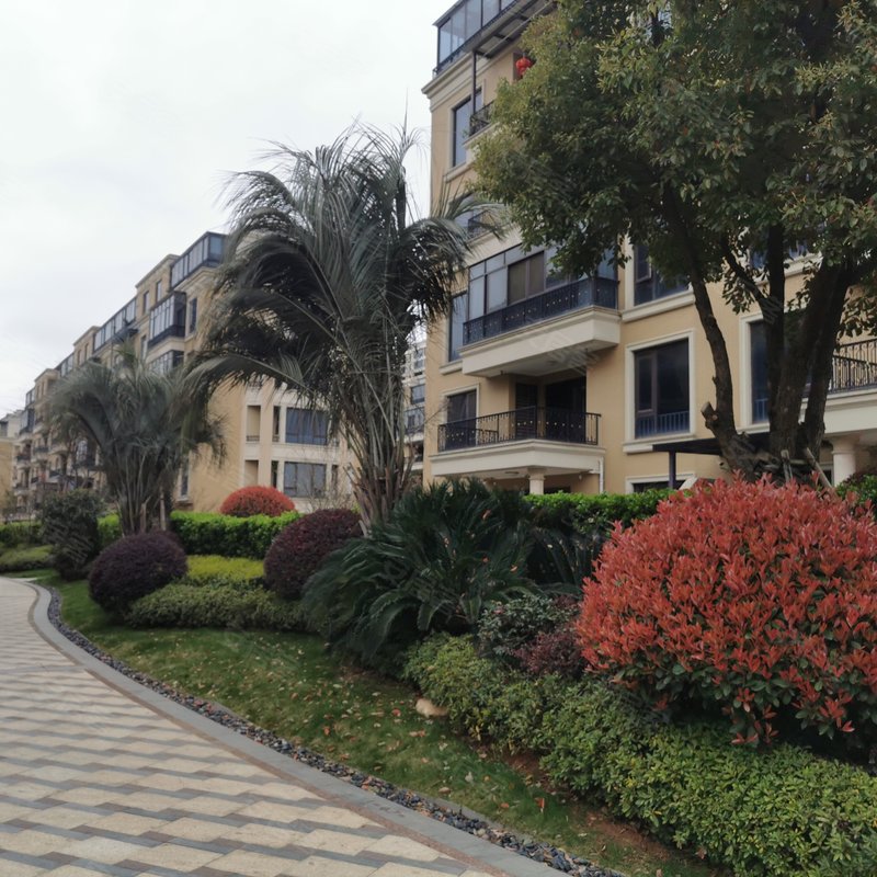 【滨江月亮湾, 滨江月亮湾小区详情,房价走势,房源,业主论坛】- 衢州