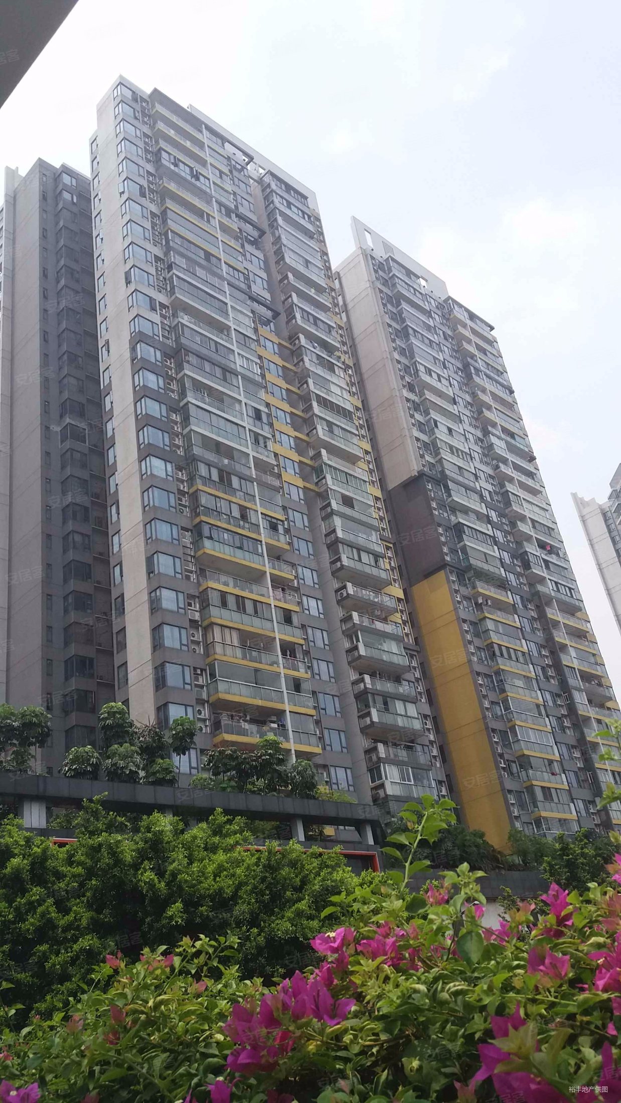 江南新苑两房一厅500万裕丰069