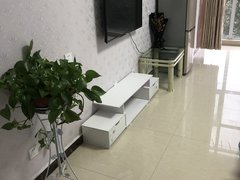 枣庄滕州荆河新上急租九州清晏 1室1厅配套齐全 电梯房价格可议看房方便出租房源真实图片