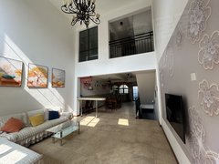 上海奉贤海湾奉贤绿地香颂(别墅) 5室2厅3卫  精装修227平米出租房源真实图片