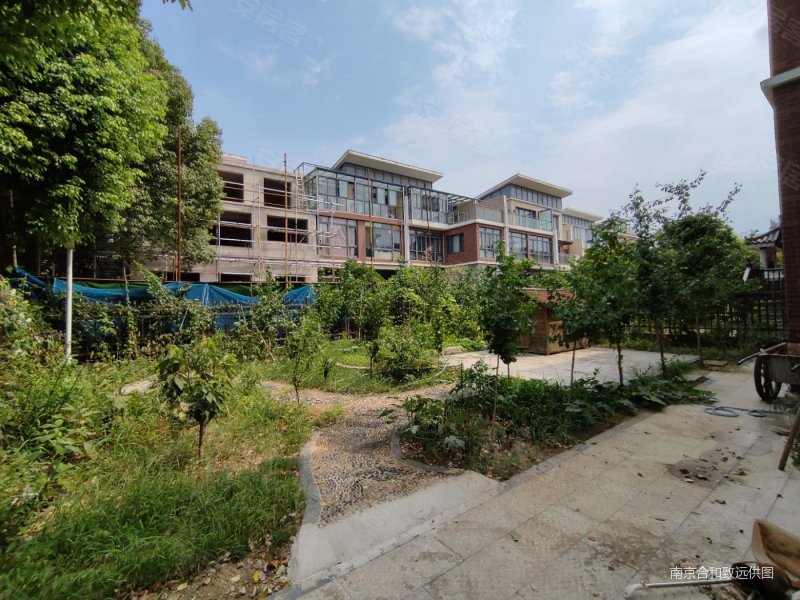 南京房产网>南京二手房>江宁二手房>九龙湖二手房>颐和南园(别墅)>800