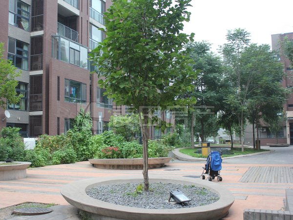 【多图】领秀新硅谷ab区,西二旗租房,领秀新硅 2室2厅2卫 精装126平