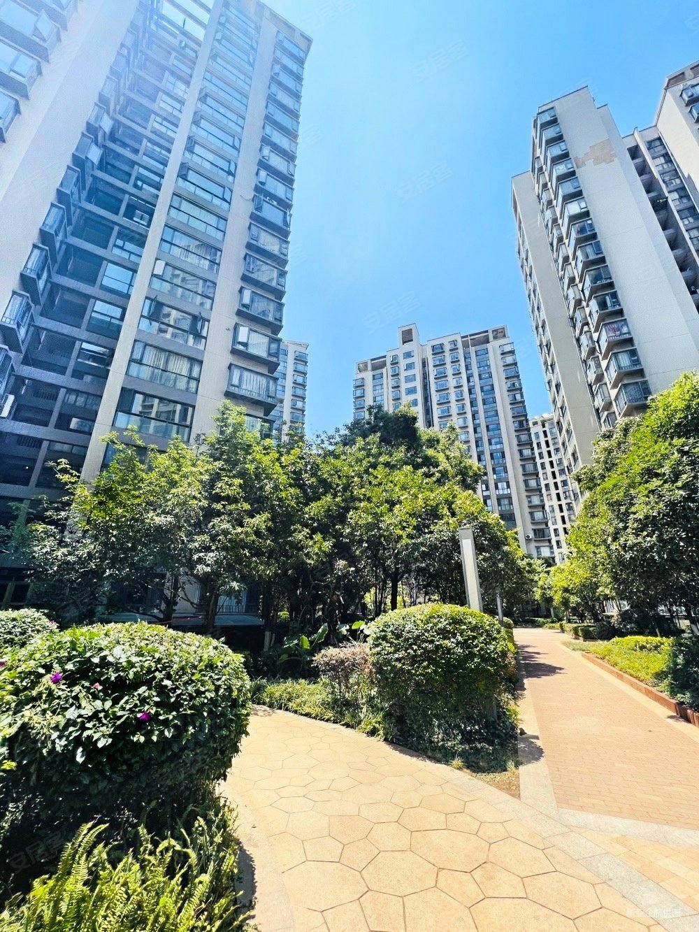 西府景苑朝向好高绿化医疗配套成熟购物方便电梯房