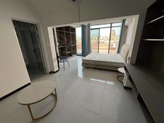 合肥高新蜀西湖祥源城别墅 科大先研院地铁口 银泰百货 软件园 蜀西湖出租房源真实图片