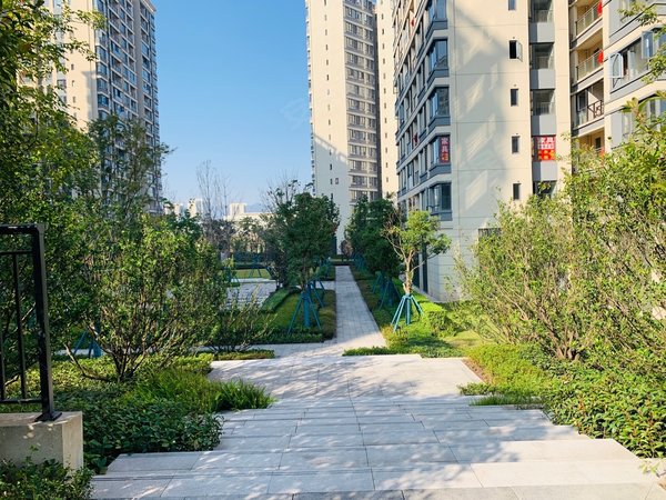 重庆巴南界石御华兰亭(二期)出租御华兰亭,精装两房,全新装修,拎包