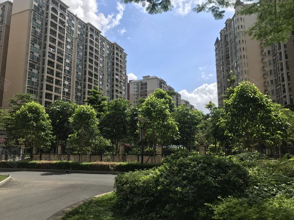 东莞塘厦新行政中心隆福花园隆福花园3房2卫精装修出租房子保养好