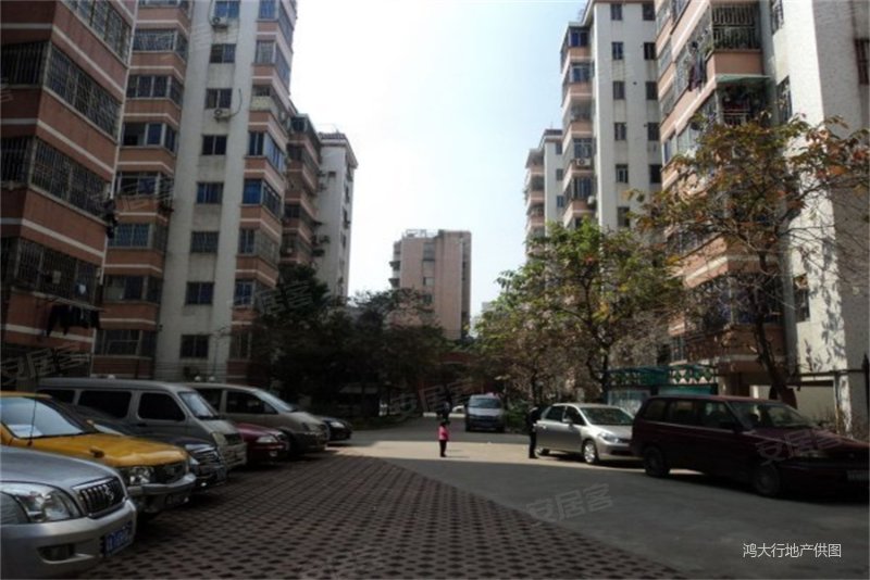 热门小区金丰花园 南向大三房 格局方正临近地铁 交通便利