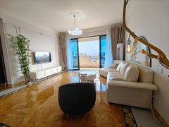 六安金安金安银泰实拍 河景房 碧桂园天玺一梯一户四室两卫家家电齐全，拎包入住出租房源真实图片