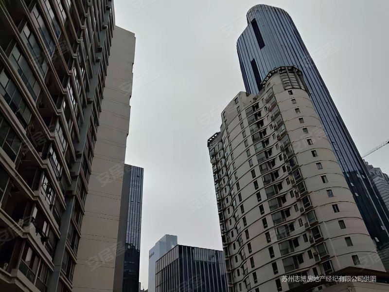 湖西cbd位置 星海中 交通便捷 临地铁 高楼层采光充足,天翔花园二手房