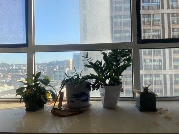 【多图】祥泰广场,八里洼租房,祥泰广场 1室1厅1卫,市中租房-济南58