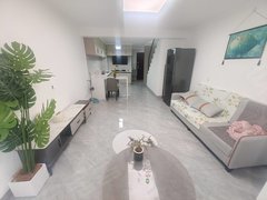 淮南寿县空港精装修复试两房 超美温馨装修 拎包入住家电家具齐全出租房源真实图片