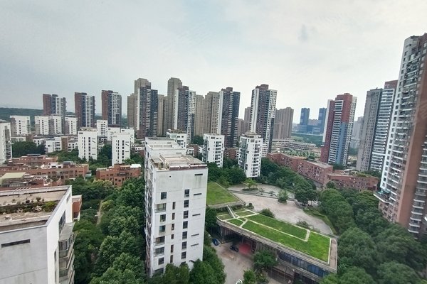 泰然南湖玫瑰湾三期蓝玫苑周边房产中介经纪人评价-武汉安居客