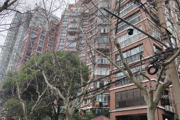 上海二手房 淡水公寓 > 俞利云解读淡水公寓小区不足