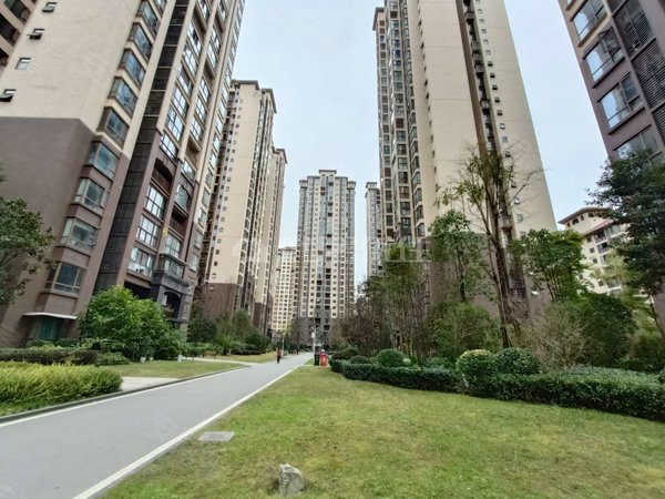 巴中巴州老城置信逸都花园b区置信逸都花园 电梯精装套二 保养成色新