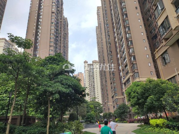 【多图】隆源华府,白沙大道租房,隆源华府4房出租 房子干净整洁 家具