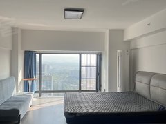 安康汉滨万达广场万达公寓一室一厅 60平米有独立书房出租。租期灵活出租房源真实图片