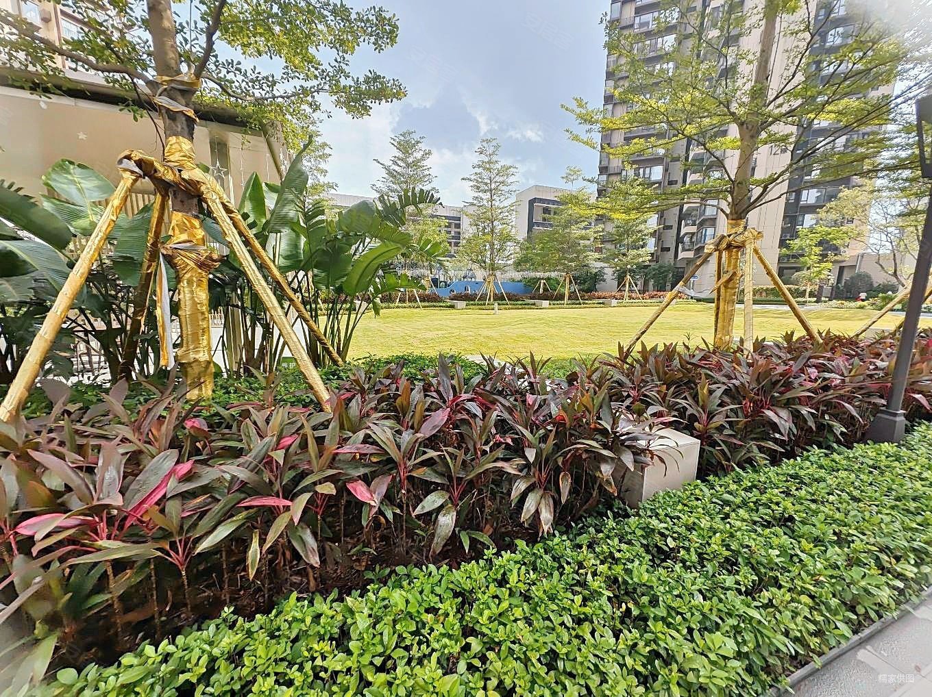 万科万荟花园3室2厅1卫76.57㎡南北65万