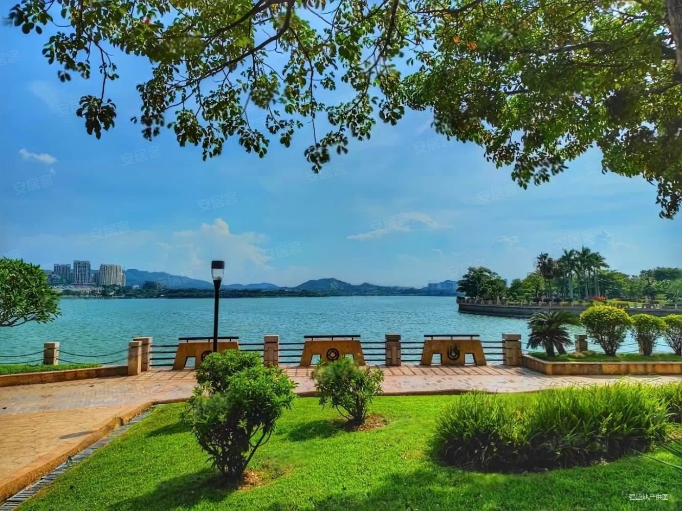 横岗水库旁湖景壹号庄园独栋别墅坐北朝南私家600平大花园