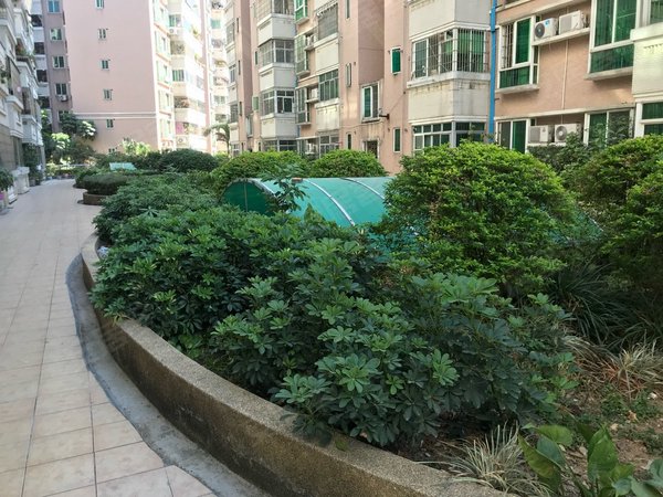 广州花都新区杏林花园杏林花园 3室2厅2卫出租房源真实图片