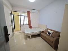 深圳龙华龙华近商场，南北通透，采光充足，直接拎包入住出租房源真实图片