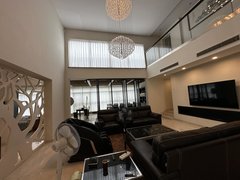 上海闵行马桥长岛别墅大独栋小价格自住豪华装修花园临水精耕区域多套别墅备选出租房源真实图片