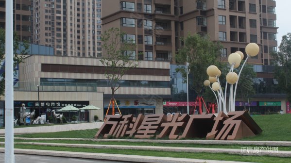 科学大道 万科一期 精装朝南三房 满五年业主诚售 随时看房