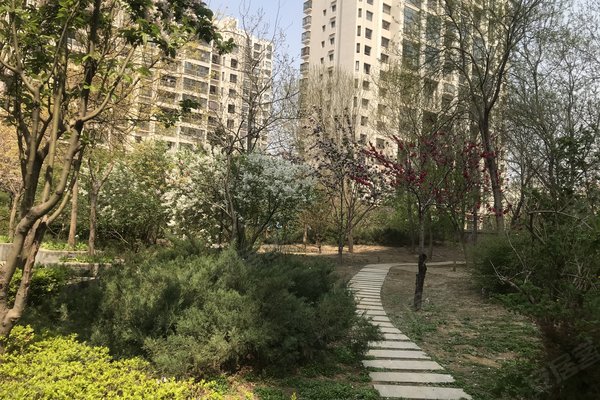 天鹅湾(北区),甘露园中街 - 北京天鹅湾(北区)二手房,租房,房价-北京