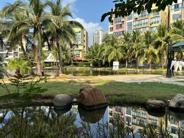 【多图】金元椰景蓝岸,凤凰路南段租房,臻选椰景蓝岸!