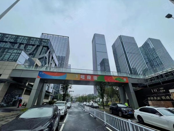 东莞南城南城车站寰宇汇金中心急急急 ucc漂亮两房出租 业主急租 随时