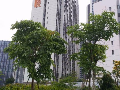 合景天峻,九龙大道 - 广州合景天峻二手房,租房,房价-广州安居客