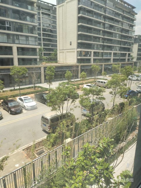 阳光城文澜公馆生活方便环境好