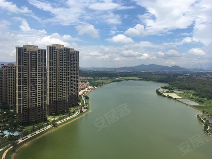 中信山语湖山湖华庭天悦花园,美景大道 - 佛山中信山语湖山湖华庭天悦