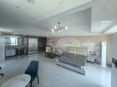 蚌埠蚌山新城区出租万达公寓b座万达广场楼上公寓出租房源真实图片