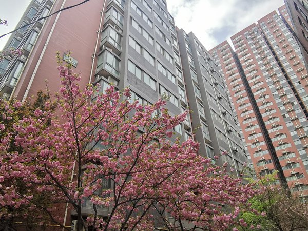西安雁塔电子城凯悦华庭电子正街北山门凯悦华庭独门独户一室开间朝北
