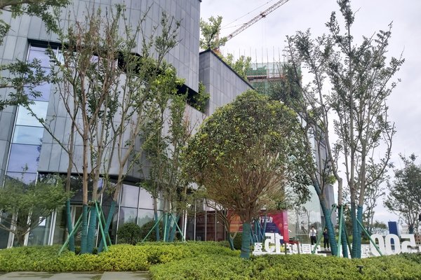 阳光城文澜东方