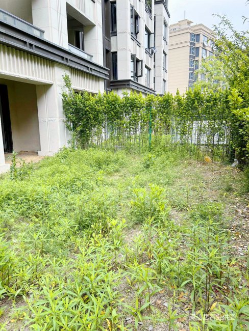 明发阅山悦府 密度低 正南朝向 大院子 老山脚下