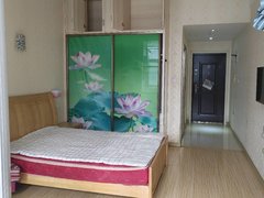 武汉黄陂盘龙城便宜精致一房出租，7号线腾龙大道站，奥特莱斯出租房源真实图片
