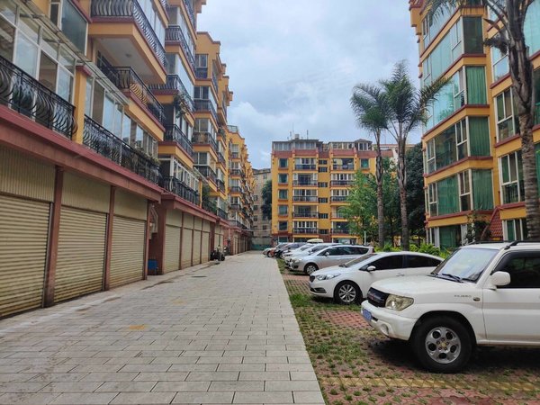 昆明盘龙白龙路片区白龙花苑穿金路旁白龙花苑 精装大三房 全家具家电