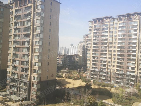 临沂兰山临沂九中金泰华府(南区商住楼)可以月付 实图 金泰华府 精装