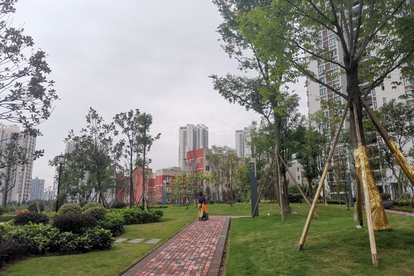 重庆小区 璧山小区 璧山城区小区 黛山道8号一墅房产 一墅房产龙湖花