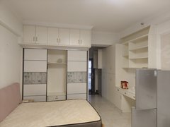 武汉黄陂盘龙城天纵城(商住楼) 1室1厅1卫  电梯房 精装修46平米出租房源真实图片