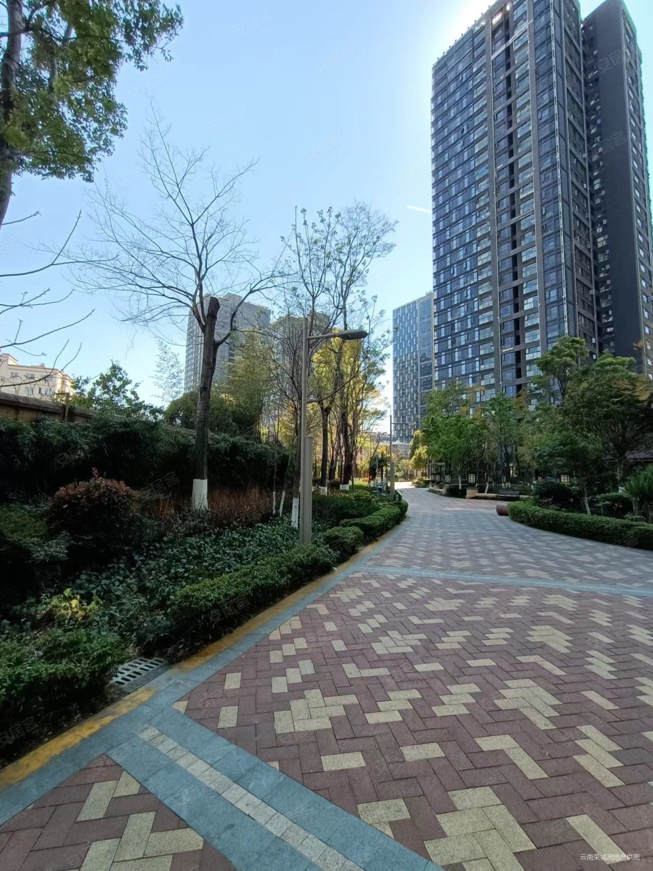 巫家坝自贸区 银海尚御3 房 送车位一个 东南朝向