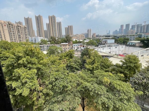 广州天河东圃天河荔园新村急租房  东圃 荔园新村 两房一厅 近盈科
